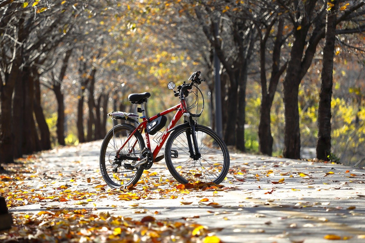 The Role of Bicycle Commuting in Sustainable Living